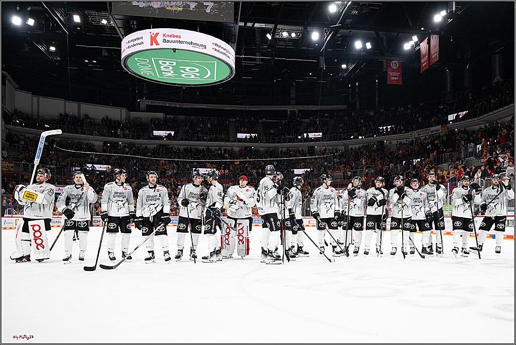 PENNY DEL 1; Düsseldorfer EG - Kölner Haie; Düsseldorf, 24.01.2025